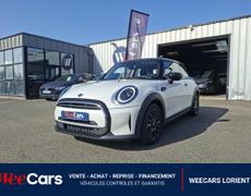 Mini Mini Caudan