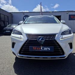 Lexus NX 2.5 300 H 197H 155 HEV PACK BUSINESS AWD BVA Caudan