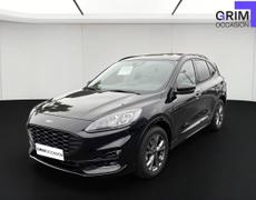 Ford Kuga Bassussarry