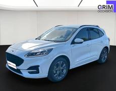 Ford Kuga Bassussarry