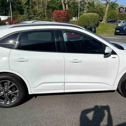 Ford Kuga Kuga 2.5 Duratec 190 ch FlexiFuel FHEV Bio&eacute;thanol Powershift ST-Line X Bassussarry