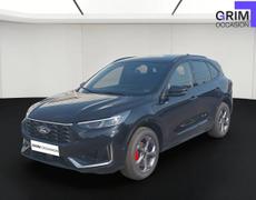 Ford Kuga Bassussarry