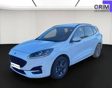 Ford Kuga Bassussarry