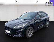 Ford Kuga Bassussarry