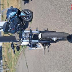Harley Davidson Street bob Softail 1745 Couleur 2019 occasion - Sausheim - photo 3/14