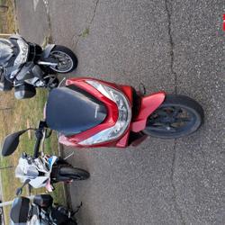 Honda PCX 125 2014 occasion - Sausheim - photo 3/14