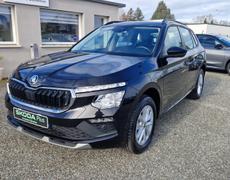 Skoda Kamiq Lescar