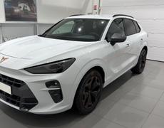 Cupra Terramar Belfort