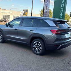 Skoda Kodiaq Kodiaq 2.0 TDI 150 ch SCR DSG7 7pl Selection Auxerre