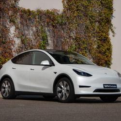 Tesla Model Y Standard RWD MONACO