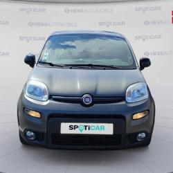 Fiat Panda 1.0 70ch BSG S&S Sport Belfort
