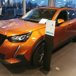 Peugeot 2008 PureTech 100 S&S Style Brindas