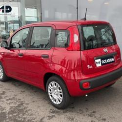 Fiat Panda Pandina 1.0 65ch BSG S&S Hybrid Ic&ocirc;ne, Tarif pour un v&eacute;hicule neuf en version POP (sous condit Morlaix