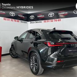 Lexus NX 350h Executive 4WD Cheffois