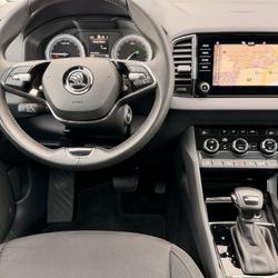 Skoda Karoq Karoq 2.0 TDI 116 ch SCR DSG7 Business Terrasson-Lavilledieu