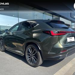 Lexus NX 450h+ Executive 4WD Mondeville