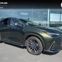 Lexus NX 450h+ Executive 4WD Mondeville