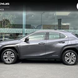 Lexus UX 300e Pack Mondeville