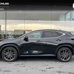 Lexus NX 350h Executive 4WD MY24 Mondeville