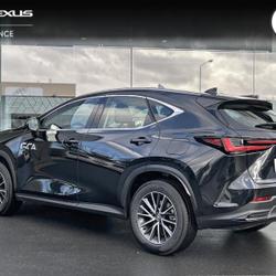 Lexus NX 350h Pack Business 2WD MY25 Mondeville