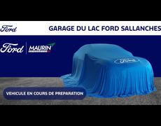 Ford Transit Custom - 320 L2H1 2.0 EcoBlue 170ch Trail 4x4 BVA8 - 53 990 €