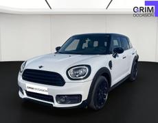 Mini Countryman Lattes