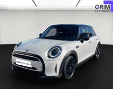 Mini Cooper Lattes