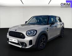 Mini Countryman Lattes