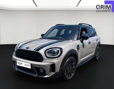 Mini Countryman Lattes