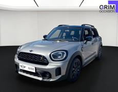 Mini Countryman Lattes