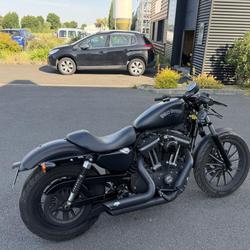 Harley Davidson autres IRON 883 XL Plestan