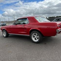 Ford Mustang V8 289CI COUPE Lesneven