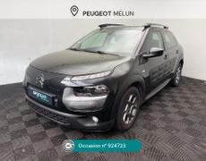 Citroen C4 Cactus - C4 CACTUS BUSINESS C4 CACTUS BLUEHDI 100 S&S ETG6 - 8 480 €