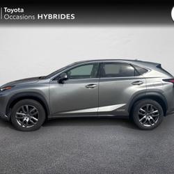 Lexus NX 300h 4WD Luxe  MY20 Glos