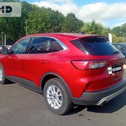 Ford Kuga 2.0 EcoBlue 150ch mHEV Titanium Challans