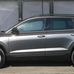 Skoda Karoq 2.0 TDI 116CH SCR BUSINESS DSG7 Ro&eacute;z&eacute;-sur-Sarthe