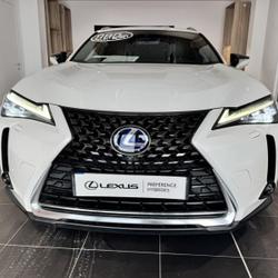 Lexus UX 300e Executive Avignon
