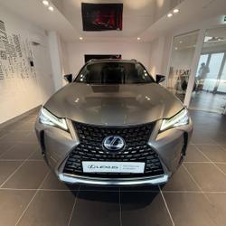 Lexus UX 300e Executive Avignon