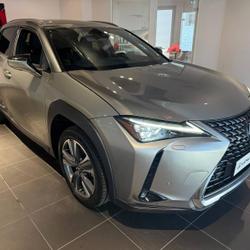Lexus UX 300e Executive Avignon