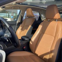 Lexus NX 300h 2WD Luxe Plus MY21 Avignon