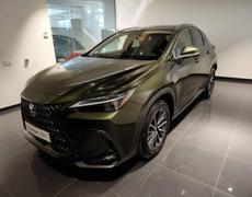 Lexus NX Avignon