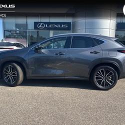 Lexus NX 450h+ Executive 4WD MY24 Avignon