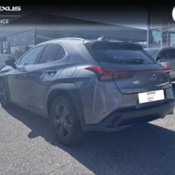 Lexus UX 250h 4WD Luxe MY19 Avignon