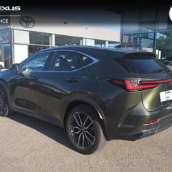 Lexus NX 350h Executive 4WD MY24 Avignon