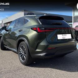 Lexus NX 450h+ Luxe 4WD MY25 occasion - Avignon - photo 2/20
