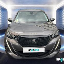 Peugeot 2008 1.5 bluehdi 110ch s&s active business Wattrelos