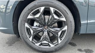 Cupra Terramar  - photo 3