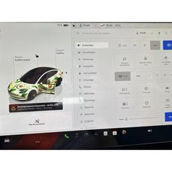 Tesla Model 3 RWD MY22  Standard Plus - SOH 92 % - AMD Ryzen Perpignan