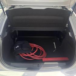 Peugeot 208 Active Business R (soci&eacute;t&eacute; 2 places 9158 ? HT) - SOH 87 % Perpignan