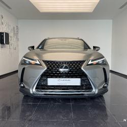 Lexus UX 250h 2WD Luxe occasion - Saint-Maximin - photo 3/42